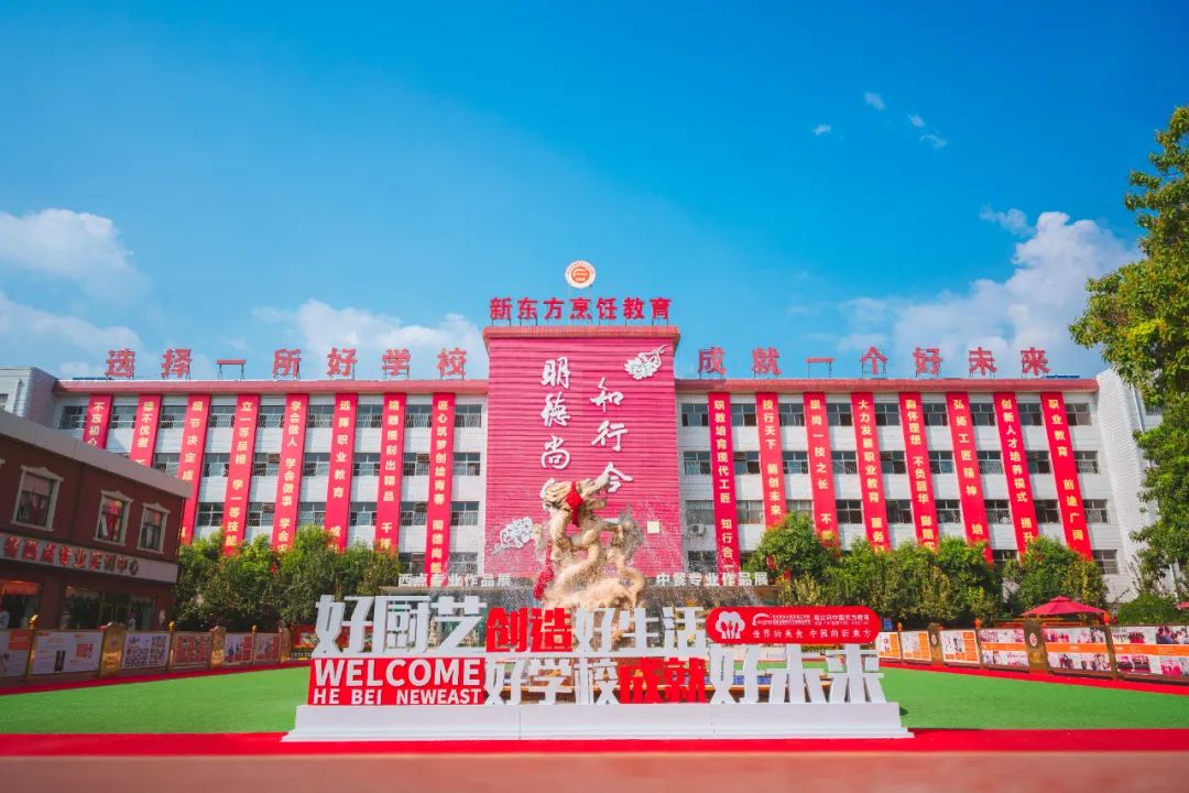 初中生学厨师的黄金机遇：2025年行业趋势全解析